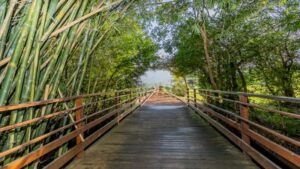 Terreno Alphaville 612m² 10 39 cleanup