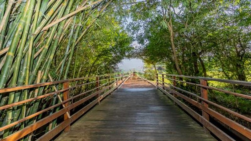 Terreno Alphaville 612m² 34 Imagem 3